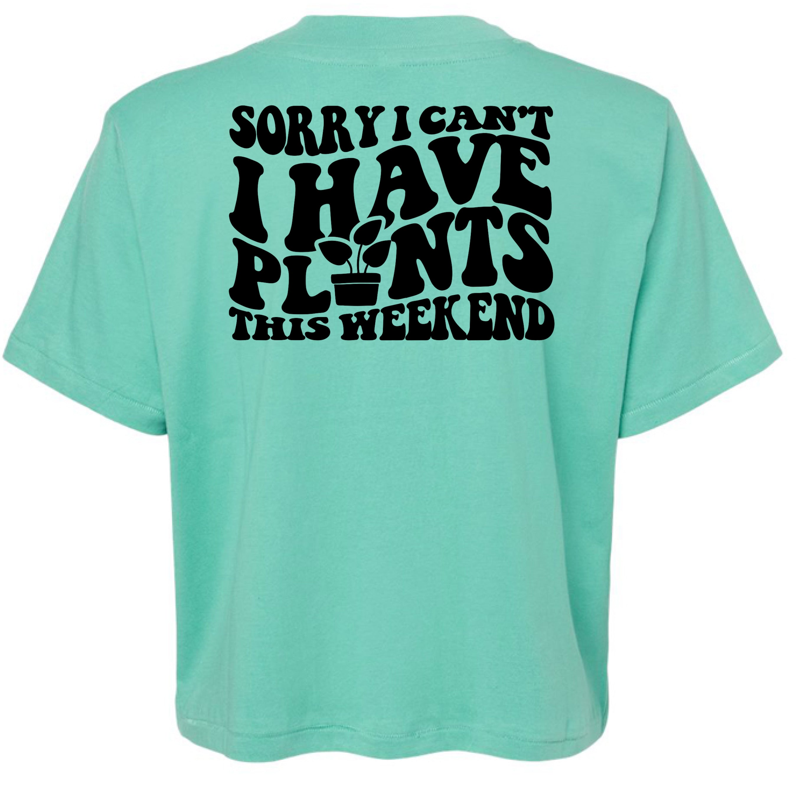 Saltwater - BACK